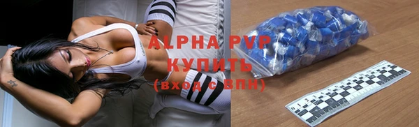 индика Нязепетровск
