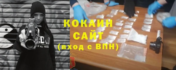 индика Нязепетровск