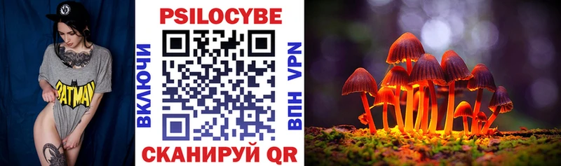 Псилоцибиновые грибы ЛСД  Новосиль 