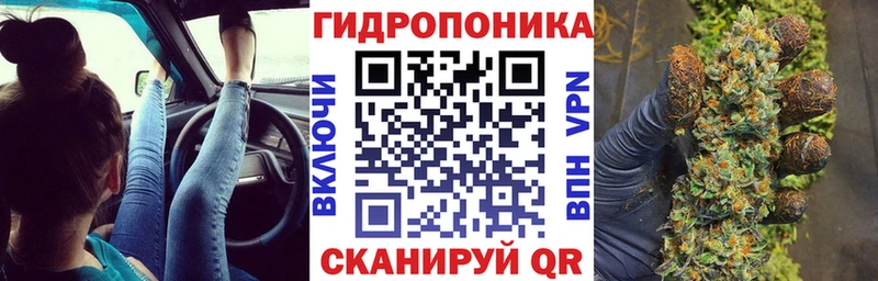 Канабис MAZAR Новосиль